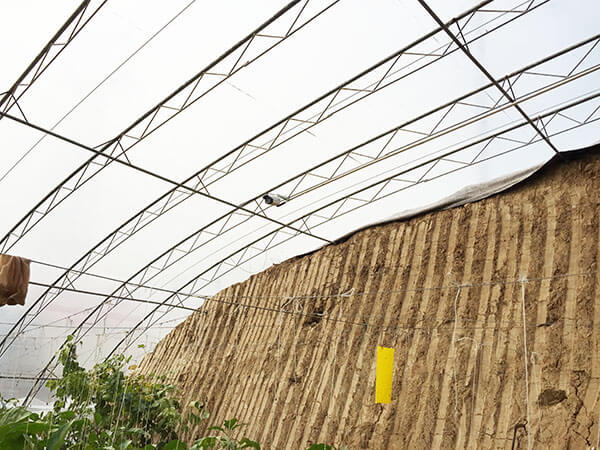 農(nóng)業(yè)園區(qū)大棚內(nèi)安裝監(jiān)控