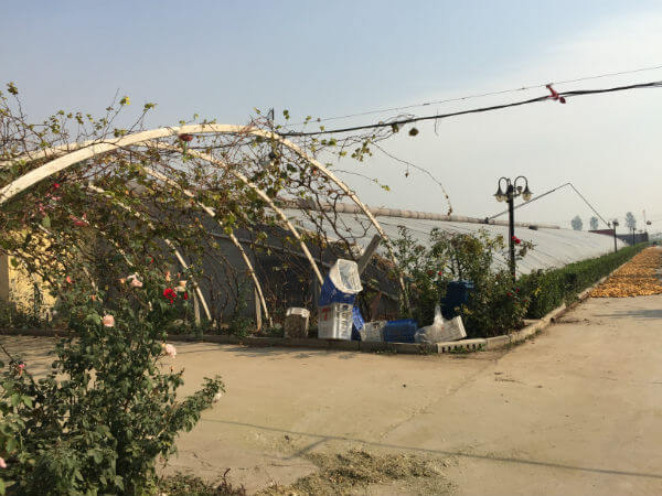 農(nóng)業(yè)園區(qū)環(huán)境